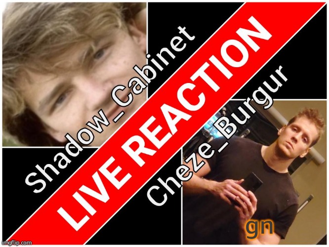 Shadow and Cheze Shared temp | gn | image tagged in shadow and cheze shared temp | made w/ Imgflip meme maker