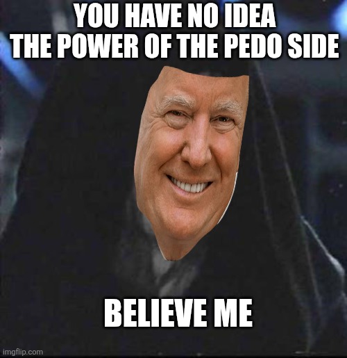 Sidious Error Meme | YOU HAVE NO IDEA
THE POWER OF THE PEDO SIDE BELIEVE ME | image tagged in memes,sidious error | made w/ Imgflip meme maker