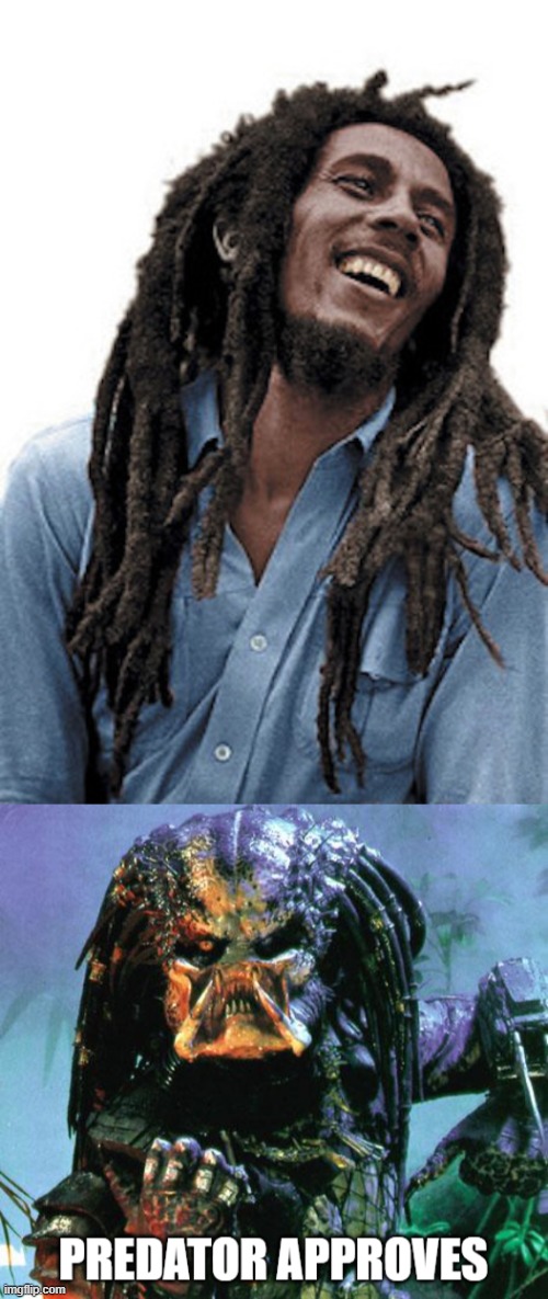 The Predator Meets Bob Marley | image tagged in predator approves,predator,the predator,bob marley,approves,approval | made w/ Imgflip meme maker