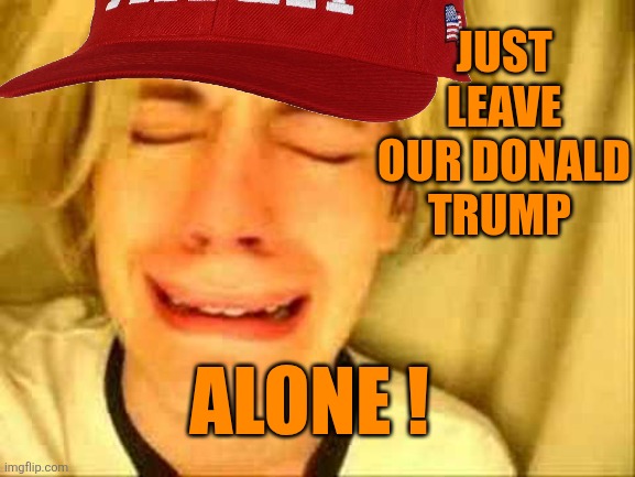 Leave Brittany Alone | JUST LEAVE OUR DONALD TRUMP ALONE ! | image tagged in leave brittany alone | made w/ Imgflip meme maker
