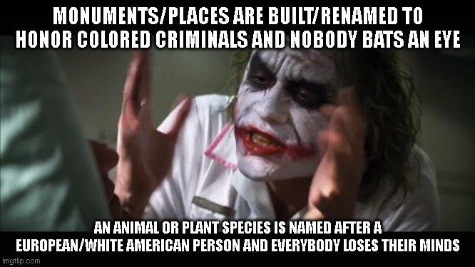 How long until scientists discover Floyd's monkey? | MONUMENTS/PLACES ARE BUILT/RENAMED TO HONOR COLORED CRIMINALS AND NOBODY BATS AN EYE; AN ANIMAL OR PLANT SPECIES IS NAMED AFTER A EUROPEAN/WHITE AMERICAN PERSON AND EVERYBODY LOSES THEIR MINDS | image tagged in memes,and everybody loses their minds | made w/ Imgflip meme maker