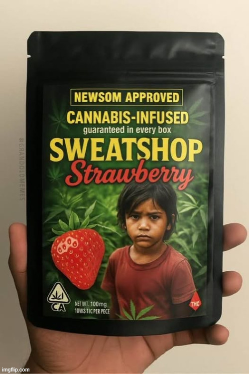 Libs don't care California is using child labor | image tagged in political,reposts | made w/ Imgflip meme maker