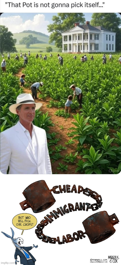 democrats support imported child labor | image tagged in dems,mad at ice,losing their child labor | made w/ Imgflip meme maker
