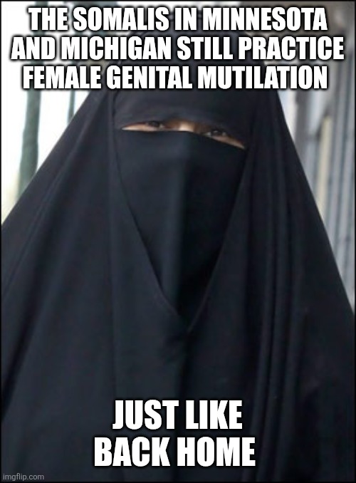 Burka Wearing Muslim Women | THE SOMALIS IN MINNESOTA AND MICHIGAN STILL PRACTICE FEMALE GENITAL MUTILATION; JUST LIKE BACK HOME | image tagged in burka wearing muslim women | made w/ Imgflip meme maker