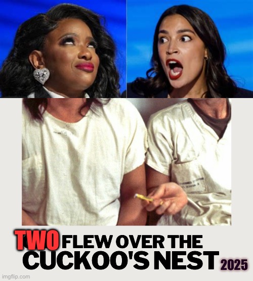 Operation: Let Them Speak | TWO; 2025 | image tagged in gifs,aoc,democrats,democratic socialism,incompetence | made w/ Imgflip meme maker