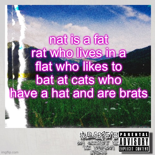 HuaSpring Temp | nat is a fat rat who lives in a flat who likes to bat at cats who have a hat and are brats | image tagged in huaspring temp | made w/ Imgflip meme maker