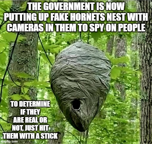 The government is putting up fake hornet nest. Hit it with a stick to see if it is real. | THE GOVERNMENT IS NOW PUTTING UP FAKE HORNETS NEST WITH CAMERAS IN THEM TO SPY ON PEOPLE; TO DETERMINE IF THEY ARE REAL OR NOT, JUST HIT THEM WITH A STICK | image tagged in funny,government,spying,cameras,humor,hornet | made w/ Imgflip meme maker