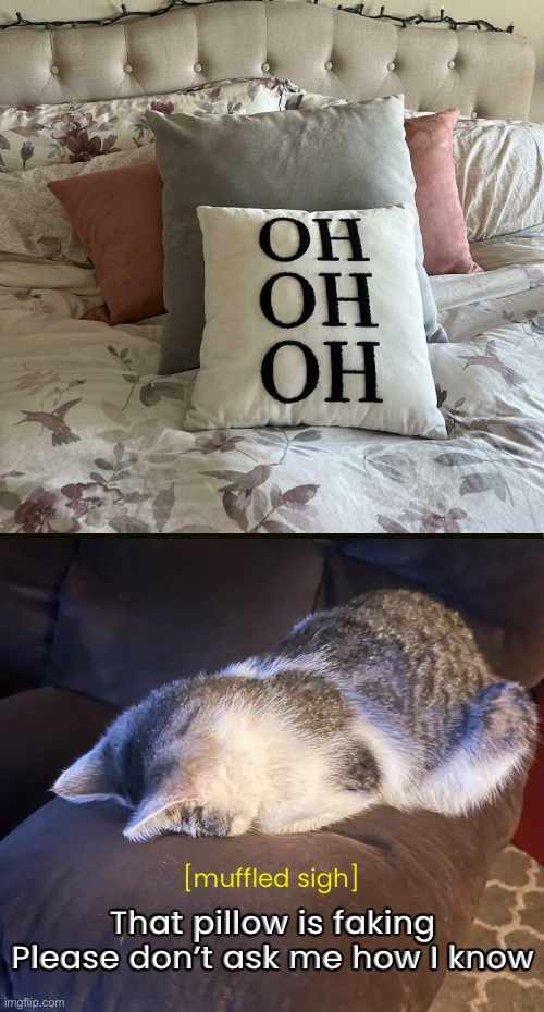 Ugh. Juuust shoot me! | [muffled sigh]; That pillow is faking
Please don’t ask me how I know | image tagged in funny memes,relationships | made w/ Imgflip meme maker