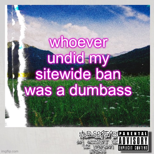 HuaSpring Temp | whoever undid my sitewide ban was a dumbass | image tagged in huaspring temp | made w/ Imgflip meme maker