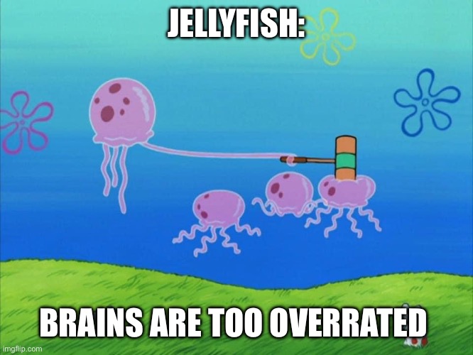 Jellyfish bonk | JELLYFISH:; BRAINS ARE TOO OVERRATED | image tagged in jellyfish bonk | made w/ Imgflip meme maker