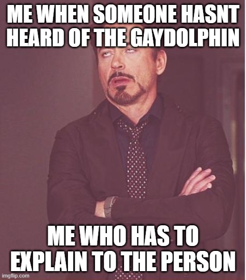 Face You Make Robert Downey Jr | ME WHEN SOMEONE HASNT HEARD OF THE GAYDOLPHIN; ME WHO HAS TO EXPLAIN TO THE PERSON | image tagged in memes,face you make robert downey jr | made w/ Imgflip meme maker