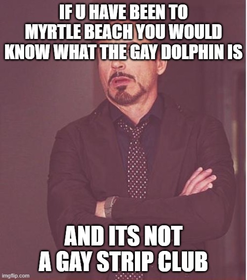 its a store | IF U HAVE BEEN TO MYRTLE BEACH YOU WOULD KNOW WHAT THE GAY DOLPHIN IS; AND ITS NOT A GAY STRIP CLUB | image tagged in memes,face you make robert downey jr | made w/ Imgflip meme maker