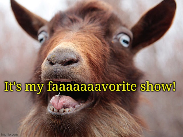 goat screaming | It's my faaaaaaavorite show! | image tagged in goat screaming | made w/ Imgflip meme maker