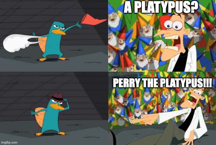 A PLATYPUS? PERRY THE PLATYPUS!!! | image tagged in an ordinary platypus | made w/ Imgflip meme maker