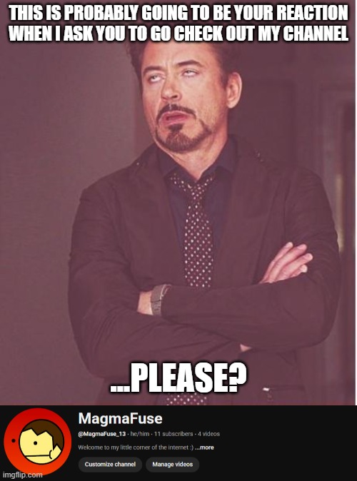 THIS IS PROBABLY GOING TO BE YOUR REACTION WHEN I ASK YOU TO GO CHECK OUT MY CHANNEL; ...PLEASE? | image tagged in memes,face you make robert downey jr | made w/ Imgflip meme maker