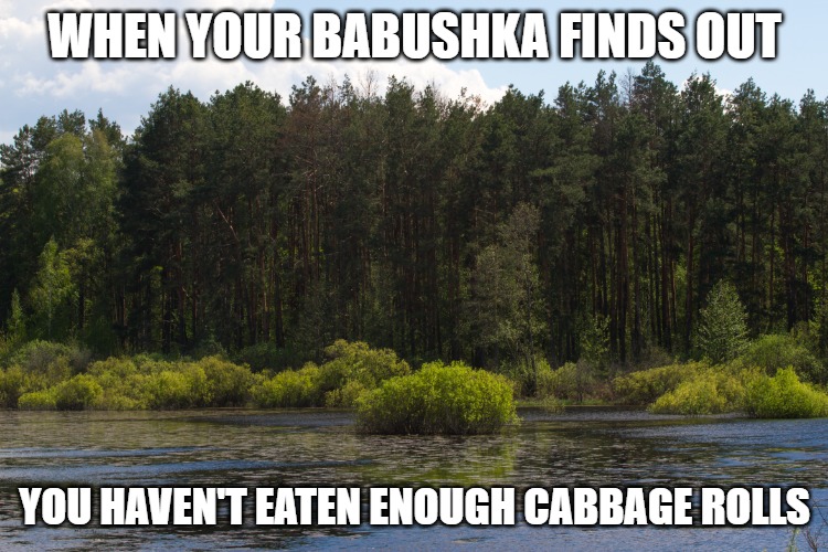 Slavic Lives Matter | WHEN YOUR BABUSHKA FINDS OUT; YOU HAVEN'T EATEN ENOUGH CABBAGE ROLLS | image tagged in slavic lives matter,slm | made w/ Imgflip meme maker