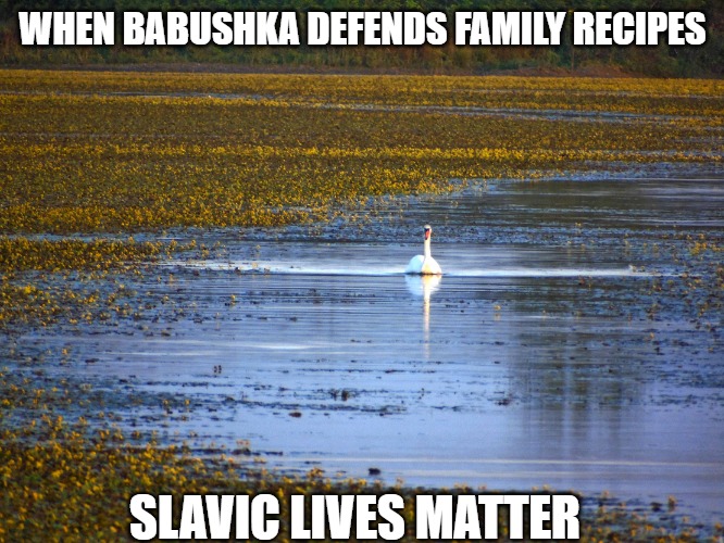 Slavic Lives Matter | WHEN BABUSHKA DEFENDS FAMILY RECIPES; SLAVIC LIVES MATTER | image tagged in slavic lives matter,slm | made w/ Imgflip meme maker