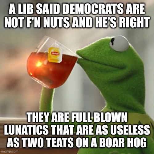 But That's None Of My Business Meme | A LIB SAID DEMOCRATS ARE NOT F’N NUTS AND HE’S RIGHT; THEY ARE FULL BLOWN LUNATICS THAT ARE AS USELESS AS TWO TEATS ON A BOAR HOG | image tagged in memes,but that's none of my business,kermit the frog | made w/ Imgflip meme maker