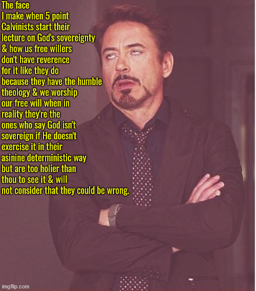 The Face I Make | The face I make when 5 point Calvinists start their lecture on God's sovereignty & how us free willers don't have reverence for it like they do because they have the humble theology & we worship our free will when in reality they're the ones who say God isn't sovereign if He doesn't exercise it in their asinine deterministic way but are too holier than thou to see it & will not consider that they could be wrong. | image tagged in face you make robert downey jr,calvinism,arminian,molinism,reformed theology 5 point calvinists,holier than thou | made w/ Imgflip meme maker