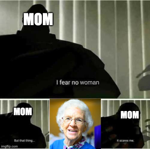 I fear no man | MOM; woman; MOM; MOM | image tagged in i fear no man | made w/ Imgflip meme maker