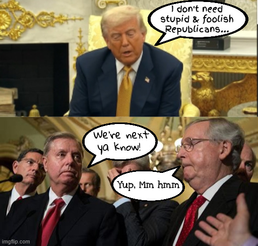 The Expendables don't need you anymore | I don't need stupid & foolish Republicans... We're next ya know! Yup, Mm hmm | image tagged in the expendables don't need you anymore,trump trash,trumpenstein,maga monster,gop doa,abby normal brain | made w/ Imgflip meme maker