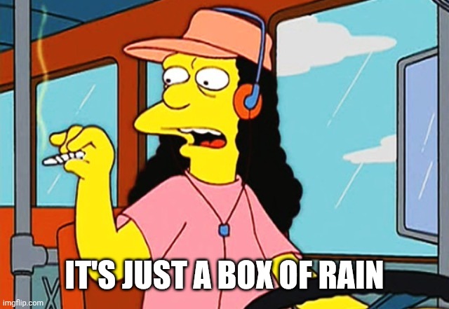Otto | IT'S JUST A BOX OF RAIN | image tagged in otto | made w/ Imgflip meme maker