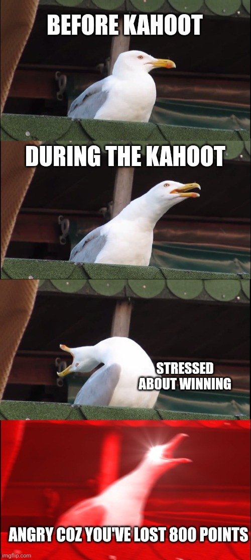 Students during kahoot | BEFORE KAHOOT; DURING THE KAHOOT; STRESSED ABOUT WINNING; ANGRY COZ YOU'VE LOST 800 POINTS | image tagged in memes,inhaling seagull | made w/ Imgflip meme maker