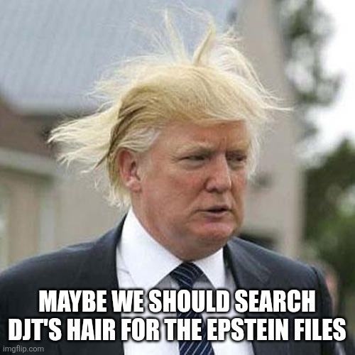 Donald Trump | MAYBE WE SHOULD SEARCH DJT'S HAIR FOR THE EPSTEIN FILES | image tagged in donald trump,jeffrey epstein | made w/ Imgflip meme maker