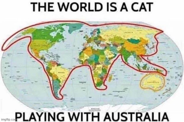 The world is a cat playing with australia | made w/ Imgflip meme maker