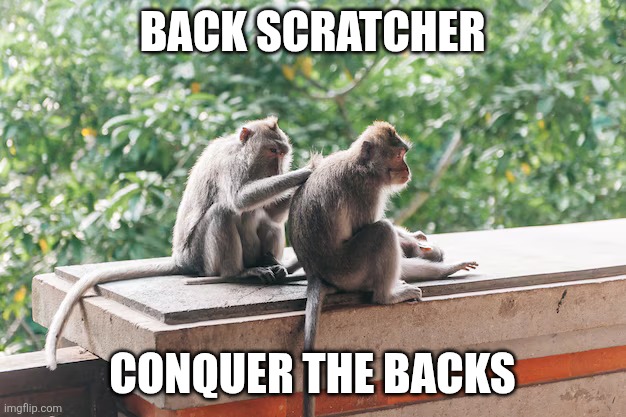 Monkey scratching backs | BACK SCRATCHER CONQUER THE BACKS | image tagged in monkey scratching backs | made w/ Imgflip meme maker