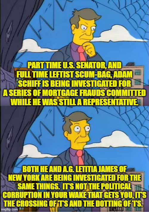 In principle it's the same thing that ultimately brought down the mobster Al Capone. | PART TIME U.S. SENATOR, AND FULL TIME LEFTIST SCUM-BAG, ADAM SCHIFF IS BEING INVESTIGATED FOR A SERIES OF MORTGAGE FRAUDS COMMITTED WHILE HE WAS STILL A REPRESENTATIVE. BOTH HE AND A.G. LETITIA JAMES OF NEW YORK ARE BEING INVESTIGATED FOR THE SAME THINGS.  IT'S NOT THE POLITICAL CORRUPTION IN YOUR WAKE THAT GETS YOU, IT'S THE CROSSING OF 'T'S AND THE DOTTING OF 'I'S. | image tagged in skinner out of touch | made w/ Imgflip meme maker