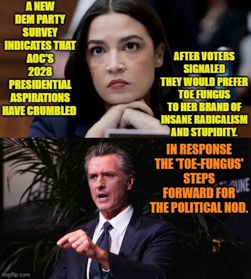 Proof that the political Left doesn't DO normal. | A NEW DEM PARTY SURVEY INDICATES THAT AOC'S 2028 PRESIDENTIAL ASPIRATIONS HAVE CRUMBLED; AFTER VOTERS SIGNALED THEY WOULD PREFER TOE FUNGUS TO HER BRAND OF INSANE RADICALISM AND STUPIDITY. IN RESPONSE THE 'TOE-FUNGUS' STEPS FORWARD FOR THE POLITICAL NOD. | image tagged in yep | made w/ Imgflip meme maker