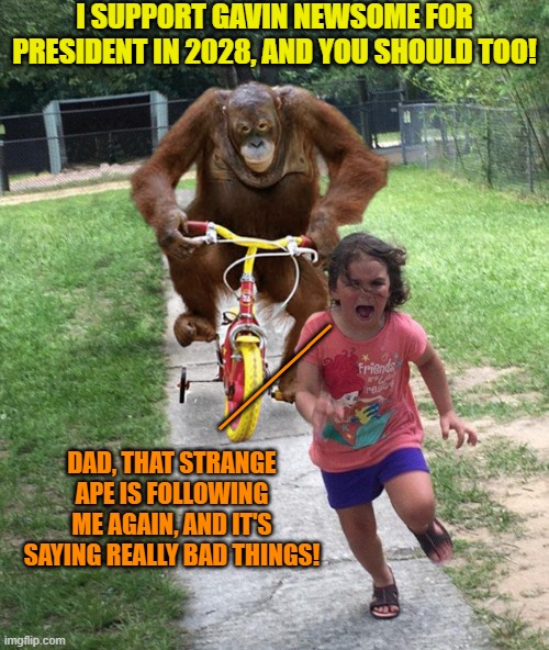 This can't be emphasized enough. | I SUPPORT GAVIN NEWSOME FOR PRESIDENT IN 2028, AND YOU SHOULD TOO! _____; DAD, THAT STRANGE APE IS FOLLOWING ME AGAIN, AND IT'S SAYING REALLY BAD THINGS! | image tagged in orangutan chasing girl on a tricycle | made w/ Imgflip meme maker