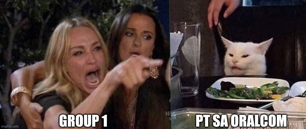 Uhhh | GROUP 1; PT SA ORALCOM | image tagged in woman yelling at cat | made w/ Imgflip meme maker