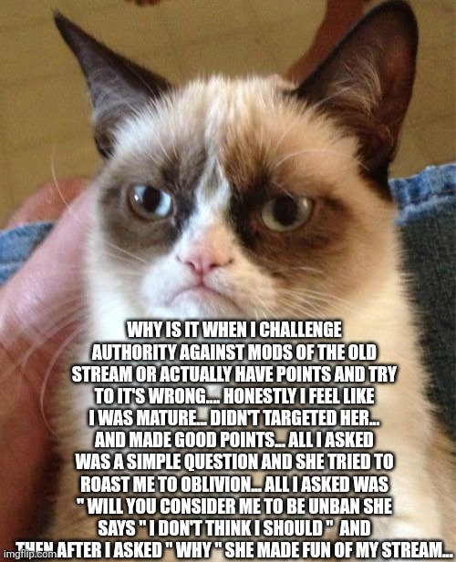 Grumpy Cat | WHY IS IT WHEN I CHALLENGE AUTHORITY AGAINST MODS OF THE OLD STREAM OR ACTUALLY HAVE POINTS AND TRY TO IT'S WRONG.... HONESTLY I FEEL LIKE I WAS MATURE... DIDN'T TARGETED HER... AND MADE GOOD POINTS... ALL I ASKED WAS A SIMPLE QUESTION AND SHE TRIED TO ROAST ME TO OBLIVION... ALL I ASKED WAS " WILL YOU CONSIDER ME TO BE UNBAN SHE SAYS " I DON'T THINK I SHOULD "  AND THEN AFTER I ASKED " WHY " SHE MADE FUN OF MY STREAM... | image tagged in memes,grumpy cat | made w/ Imgflip meme maker