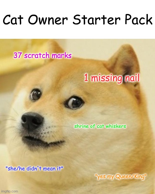 You do not own your cat. Your cat owns YOU. | Cat Owner Starter Pack; 37 scratch marks; 1 missing nail; shrine of cat whiskers; "she/he didn't mean it"; "yes my Queen/King" | image tagged in memes,doge | made w/ Imgflip meme maker