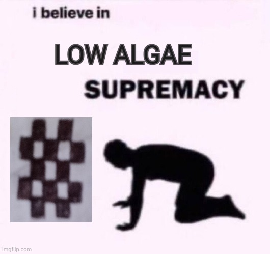 O lord | LOW ALGAE | image tagged in i belive in supermacy | made w/ Imgflip meme maker