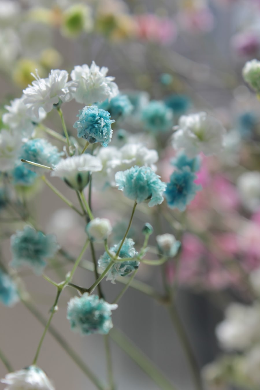 Spring wedding flowers Blank Meme Template