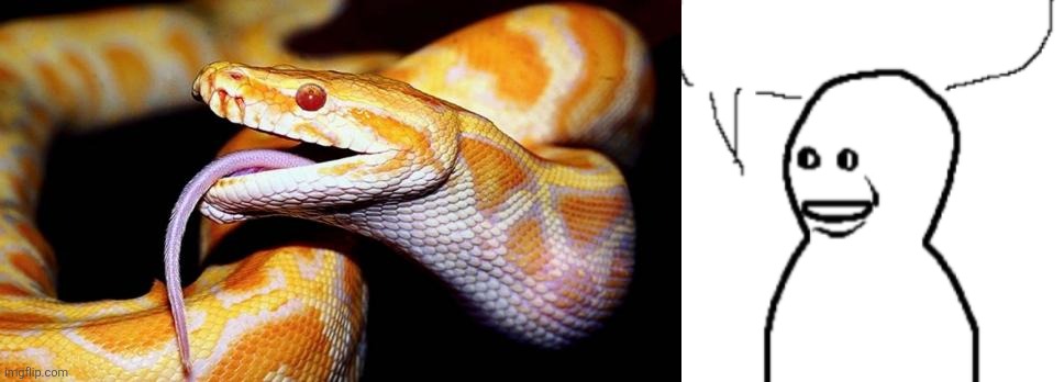 image tagged in high af snake,bro visited his friend speechbubble | made w/ Imgflip meme maker