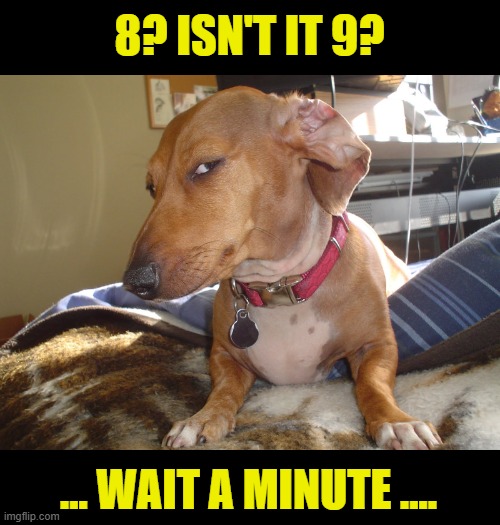 Suspicious Dog | 8? ISN'T IT 9? ... WAIT A MINUTE .... | image tagged in suspicious dog | made w/ Imgflip meme maker