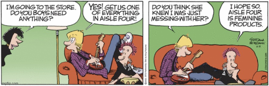 Zits | image tagged in comics | made w/ Imgflip meme maker