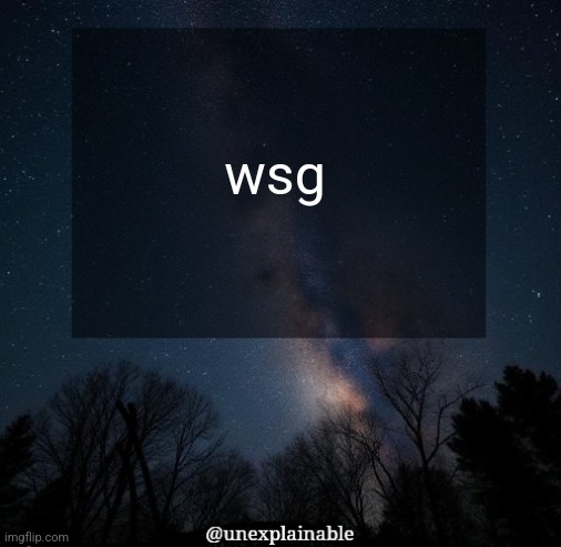 It's simply unexplainable. | wsg | image tagged in it's simply unexplainable | made w/ Imgflip meme maker
