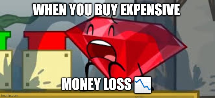 Waiting rbx | WHEN YOU BUY EXPENSIVE; MONEY LOSS 📉 | image tagged in bfdi ruby crying | made w/ Imgflip meme maker