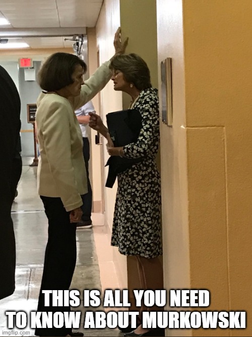 This is all you need to know about Murkowski,,, | THIS IS ALL YOU NEED TO KNOW ABOUT MURKOWSKI | image tagged in murkowski,politics | made w/ Imgflip meme maker