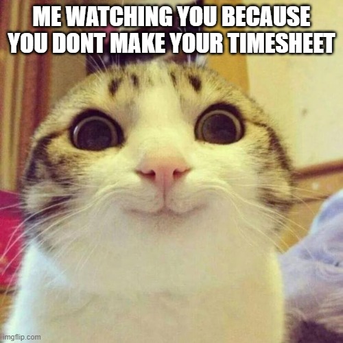 Watching Cat TS | ME WATCHING YOU BECAUSE YOU DONT MAKE YOUR TIMESHEET | image tagged in memes,smiling cat,timesheet reminder | made w/ Imgflip meme maker