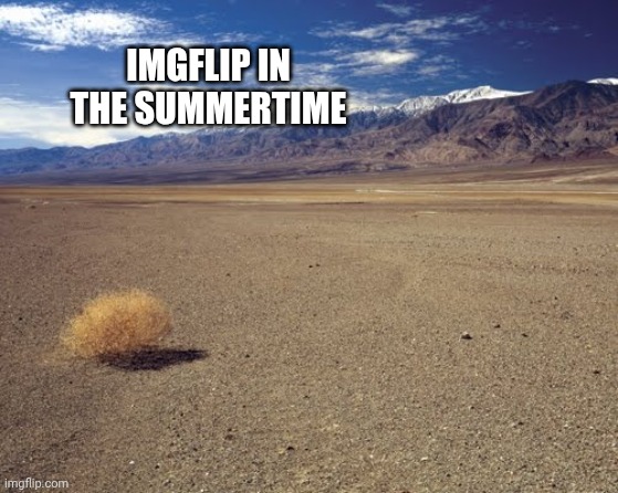 desert tumbleweed | IMGFLIP IN THE SUMMERTIME | image tagged in desert tumbleweed | made w/ Imgflip meme maker