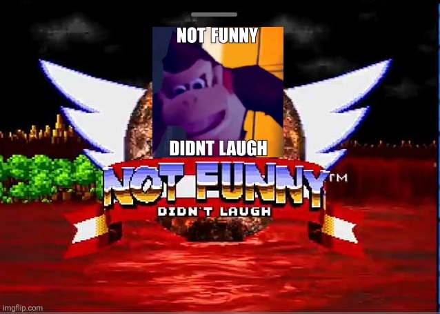 NOT FUNNY DIDINT LAUGH | image tagged in not funny didint laugh | made w/ Imgflip meme maker