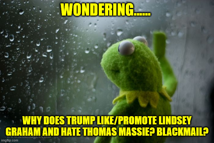 kermit window | WONDERING...... WHY DOES TRUMP LIKE/PROMOTE LINDSEY GRAHAM AND HATE THOMAS MASSIE? BLACKMAIL? | image tagged in kermit window | made w/ Imgflip meme maker