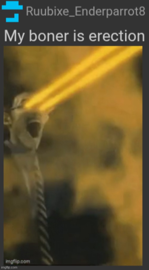 My boner is erection | image tagged in my boner is erection | made w/ Imgflip meme maker