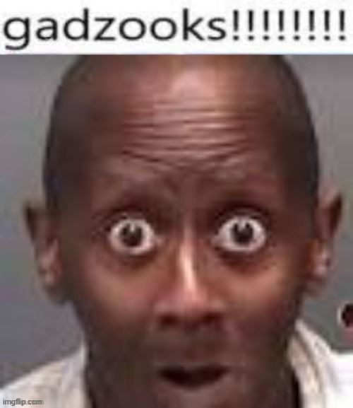 image tagged in gadzooks | made w/ Imgflip meme maker
